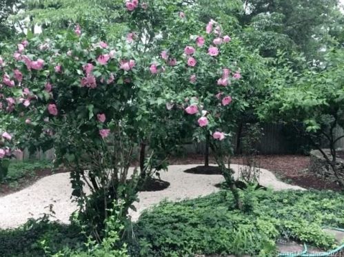 11 Dover Rd, Westport CT 06880-2627 exterior