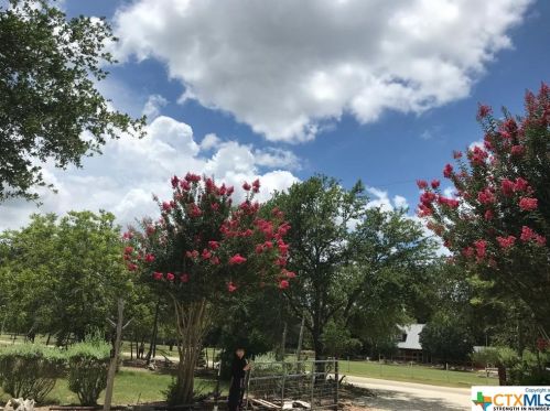 1334 Whispering Water, Spring Branch TX 78070-5613 exterior