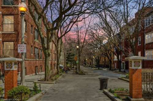 1321 Sunnyside Ave, Chicago, IL 60640-6299