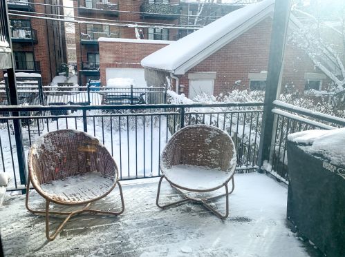 2617 Magnolia Ave, Chicago IL  60614-1213 exterior