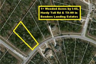 5107 Ossineke Dr, Spring TX  77386-3789 exterior