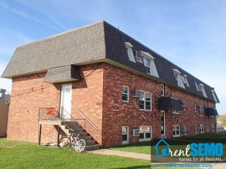 103 Clark St, Cape Girardeau MO  63701-5113 exterior