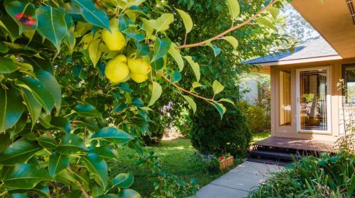 15404 Park Lake Rd, East Lansing MI 48823-3864 exterior