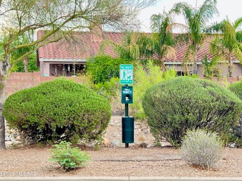 4051 Still Canyon Pass, Tucson AZ  85745-4166 exterior