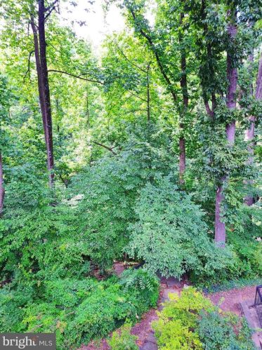 605 Hudson Ave, Silver Spring MD  20912-6235 exterior