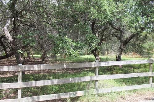 2055 Rdg Crk Ln, Spring Branch TX 78163-2871 exterior