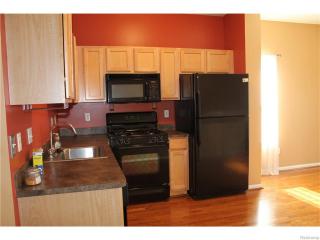 276 Palmer St, Detroit MI  48202-3824 exterior