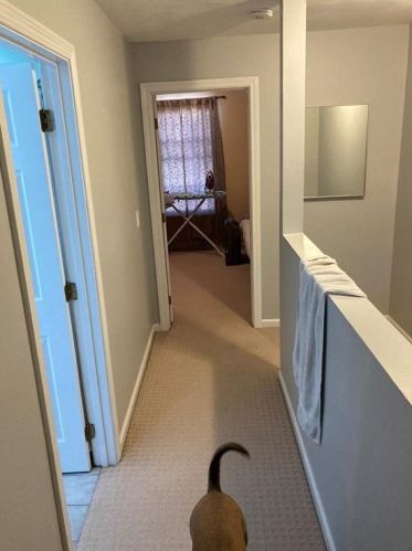 1142 Hartford Ave, Providence RI 02919-7111 exterior