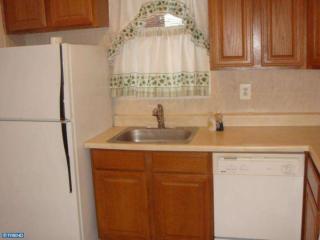 536 Alcott St, Philadelphia PA  19120-1218 exterior