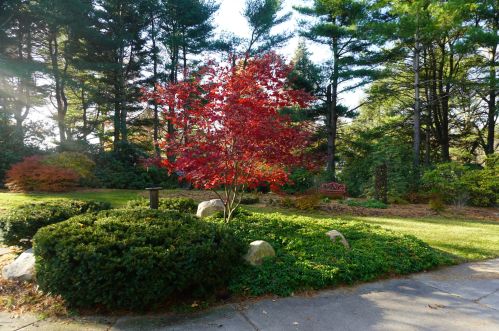 2425 58 St, Fennville MI 49408-8417 exterior