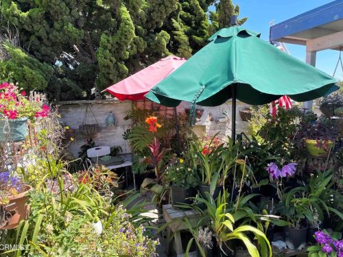 121 Sawtelle Ave, Oxnard, CA 93035-4688