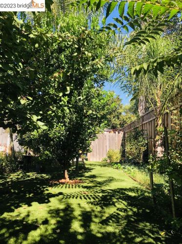 1210 Bentley St, Concord CA 94518-3814 exterior