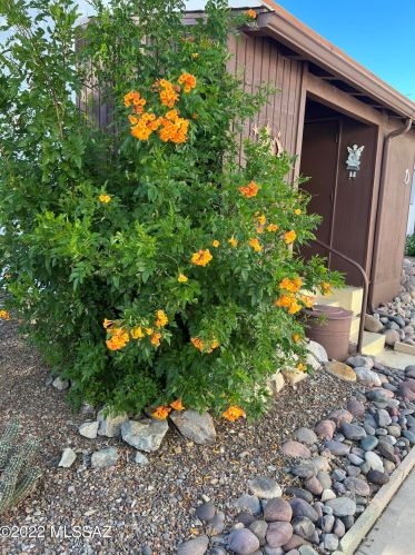 119 Paseo Quinta, Green Valley, AZ 85614-7118