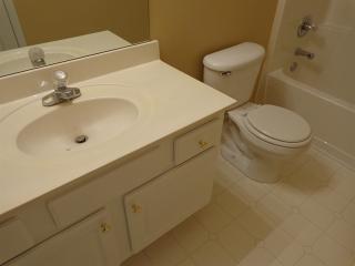 812 Sugar Oak Ln, Lawrenceville GA  30043-8706 exterior