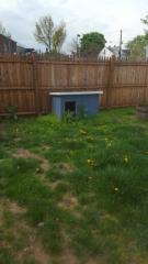 417 Cummings Ave, Trenton NJ  08611-1143 exterior