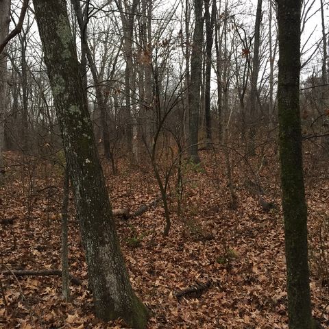 1281 August Lake Ct, Defiance, MO 63341-1772