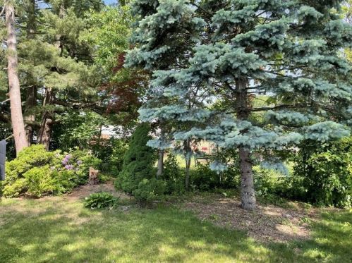 38 Ramah St, Springfield MA 01104-2741 exterior