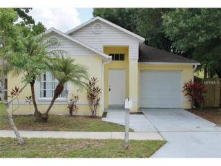 4125 Tartan Pl, Tampa, FL 33624-5411