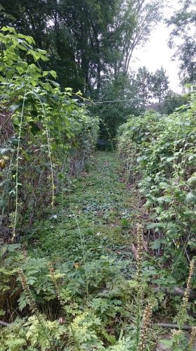 1377 County Road E, Saint Paul MN  55110-5231 exterior