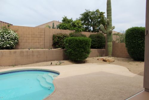 4818 Estevan Rd, Phoenix AZ  85054-6193 exterior