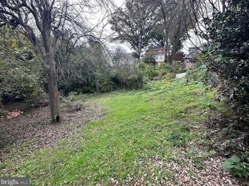 3111 19th St, Arlington, VA 22201-5103