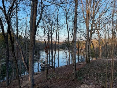 8265 Bailey Ml Rd, Gainesville GA 30506-5631 exterior