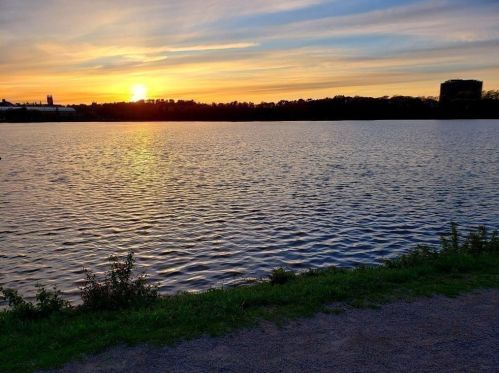 374 Chestnut Hill Ave, Boston MA exterior