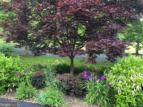 205 Christopher Dr, Princeton NJ 08540-2323 exterior