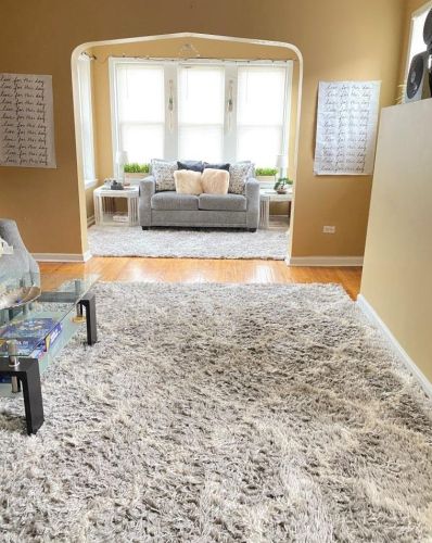 7914 Carpenter St, Chicago IL 60620-3444 exterior