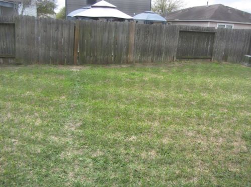 8106 Liberty Pt Ln, Humble TX 77338-6616 exterior