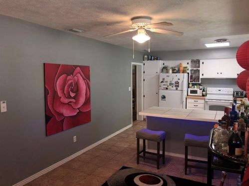 8005 Pne Hl Dr, Tampa FL 33617-7602 exterior