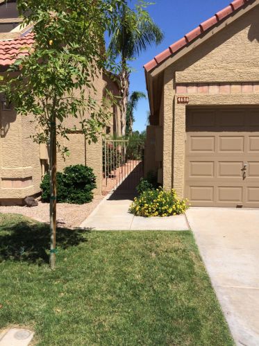 4686 Shannon St, Chandler AZ  85226-2059 exterior