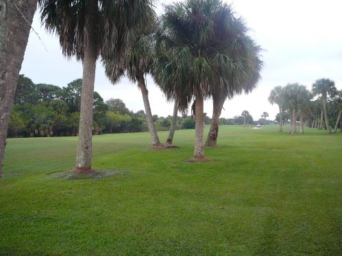 4336 Gator Trce Cir, Fort Pierce FL 34982-6803 exterior