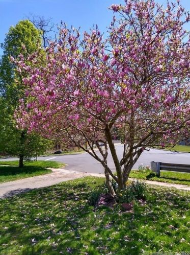 16 Forbes St, Hartford, CT 06108-3737