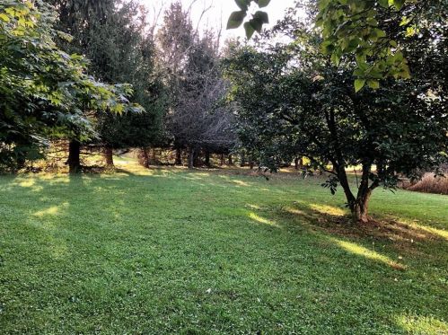 10 Farm Mdw Ln, Montgomery NY 12549-2100 exterior