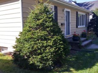 1721 Willkie St, Appleton, WI 54915-1312