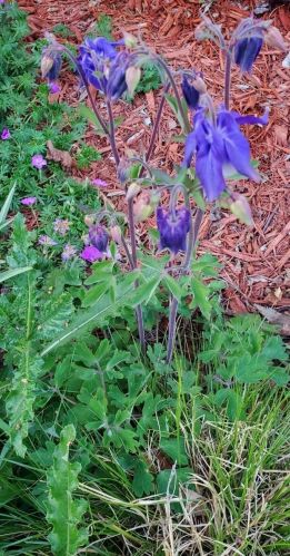 5865 Riv Frst Dr, Milwaukee WI 53209-4524 exterior