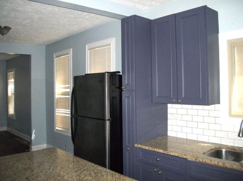 49 102nd Pl, Chicago IL  60628-2015 exterior