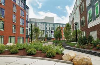 123 Antwerp St, Boston MA  02135 exterior