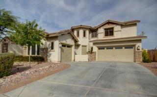 3688 Lynx Pl, Chandler AZ  85249-2009 exterior