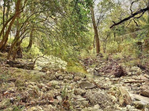 3202 Beanna St, Austin TX 78705-2510 exterior