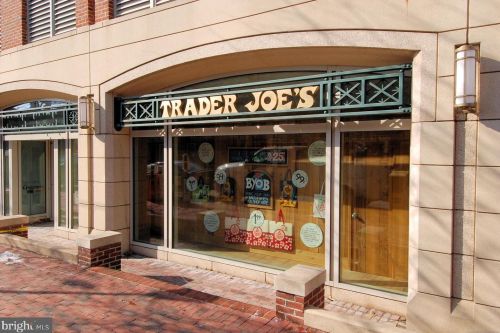 1125 Royal St, Alexandria VA 22314-4310 exterior