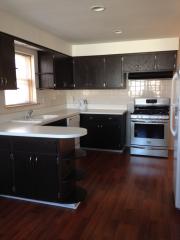 4925 Natoma Ave, Chicago IL  60656-4015 exterior