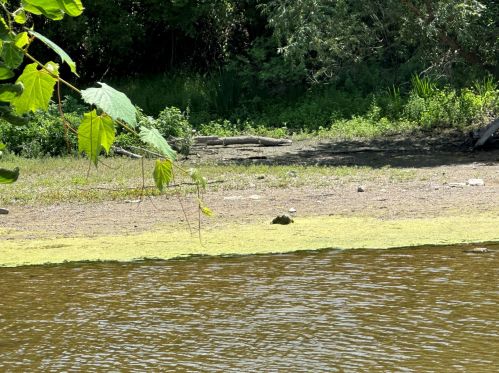 5642 Riv Frst Dr, Milwaukee WI 53209-4520 exterior