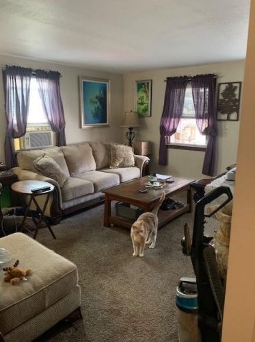 217 Newland Ave, Woonsocket RI  02895-4838 exterior