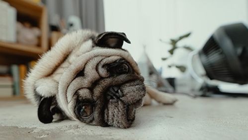 28 Exeter St, Boston MA  exterior