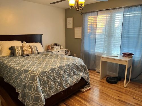 60 Arnold Ave, Springfield MA 01119-1406 exterior