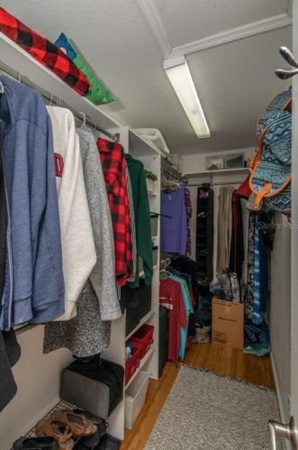 3816 Leona St, Tampa FL 33629-7824 exterior