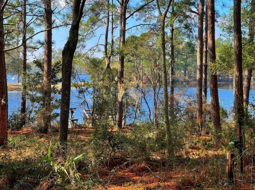 66 Serenity Cir, Defuniak Springs FL 32433-7211 exterior