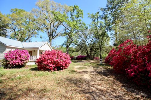 36 Williams Rd, Defuniak Springs FL 32433-5411 exterior